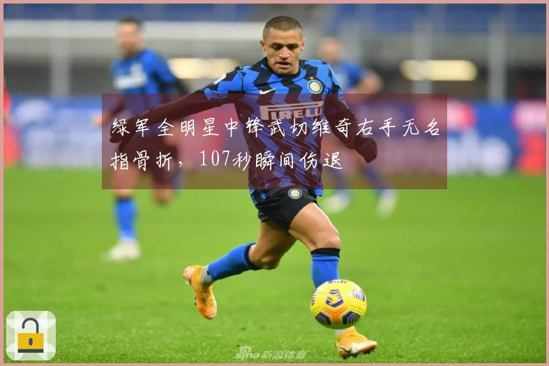 绿军全明星中锋武切维奇右手无名指骨折，107秒瞬间伤退