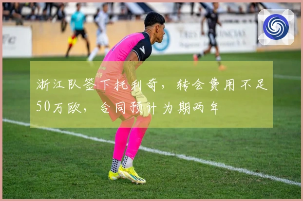 浙江队签下托利奇，转会费用不足50万欧，合同预计为期两年