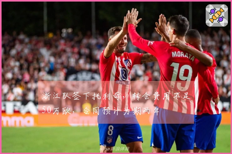 浙江队签下托利奇，转会费用不足50万欧，合同预计为期两年