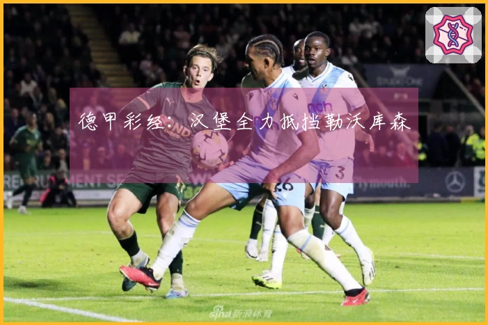 德甲彩经：汉堡全力抵挡勒沃库森